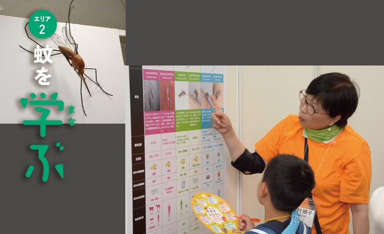 「蚊を学ぶ」エリア<br>「蚊」ってどんな生き物？その種類や分布、蚊が媒介する病気などを学べるエリア。 「蚊学教室」では、専門家の方々によるミニステージも実施。